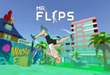 Mr Flip Mr Flip img
