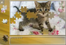 Puzzle Sliding Kittens